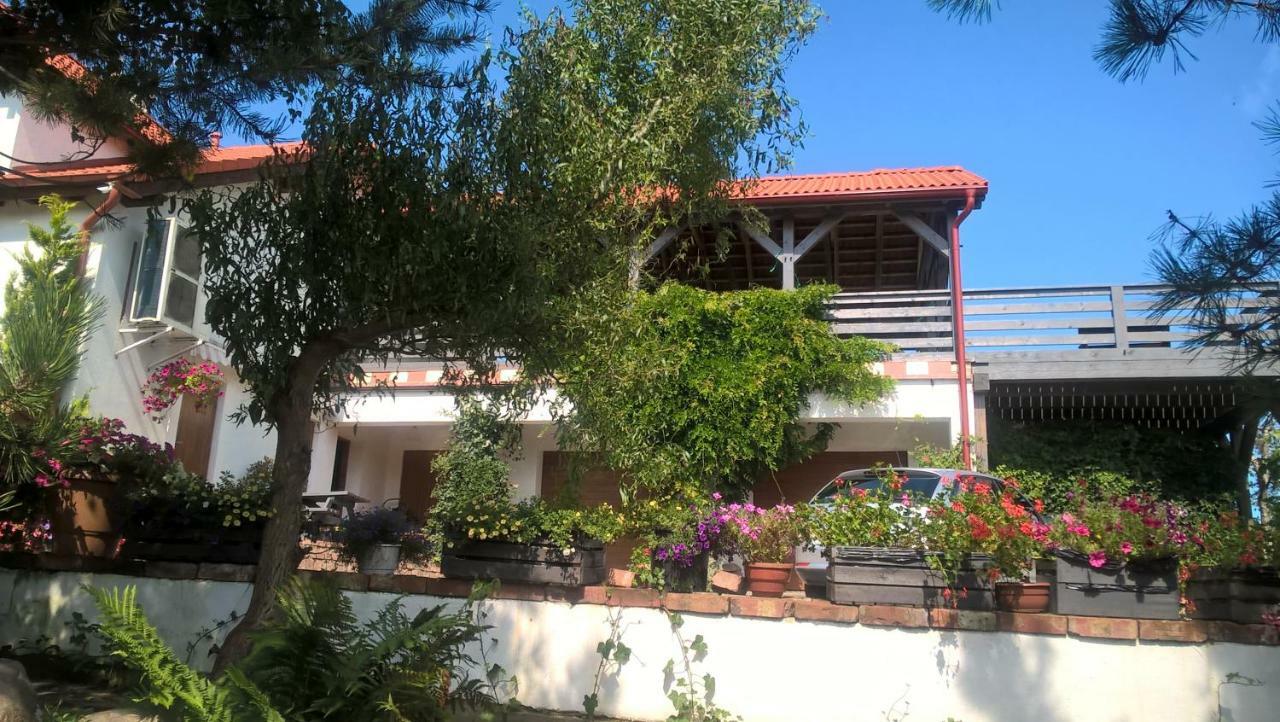 Kamien Baltyku Apartment Debina  Ngoại thất bức ảnh